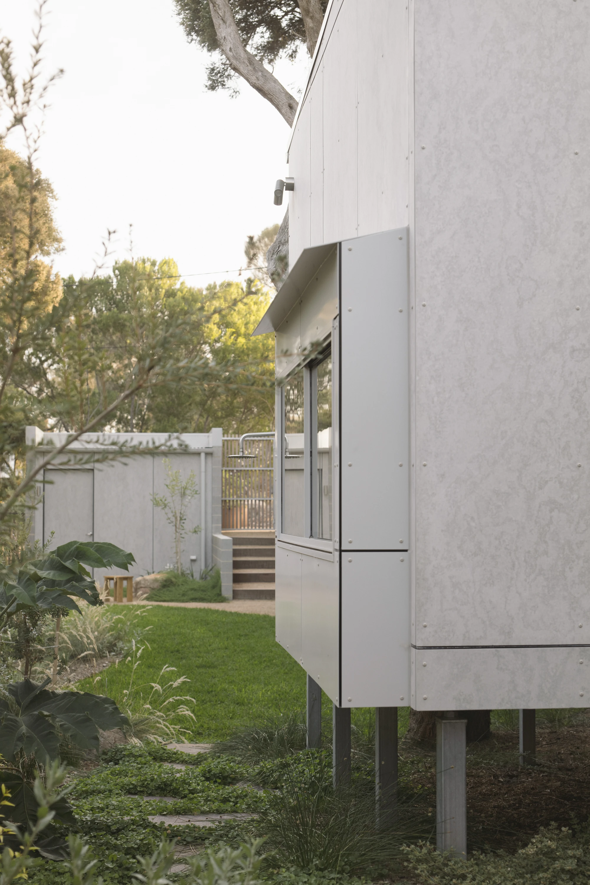First House Past the Trees by Josh Cole WORKCRAFT in Barwon Heads Australia, residential architecture built around protected Moonah trees with fibre-cement and timber batten screens