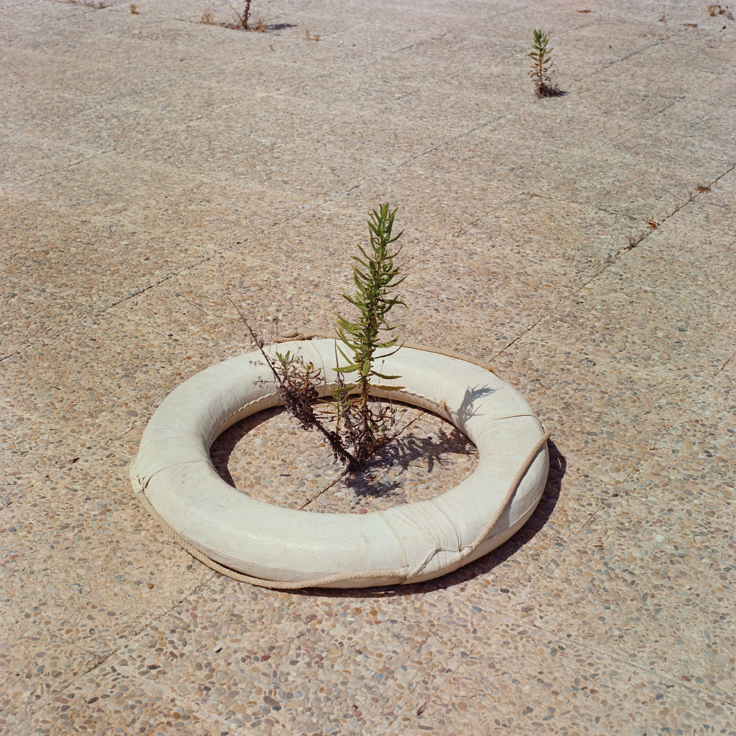 Aftersun by Pol Viladoms, abandoned water parks, Mediterranean, Japan, California, landscape photography, recreational ruins