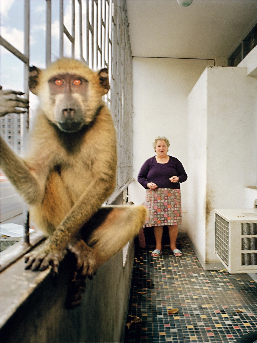 Maputo Diary photography book by Ditte Haarløv Johnsen documenting queer community, photography, Mozambique, lgbtq+