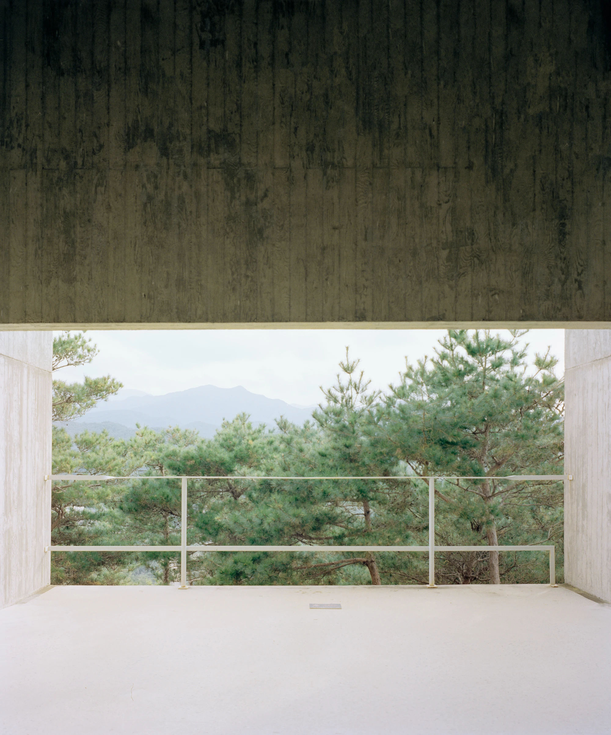 Sayuwon arboretum architecture by Álvaro Siza photographed by Danny Kai, South Korea Guide