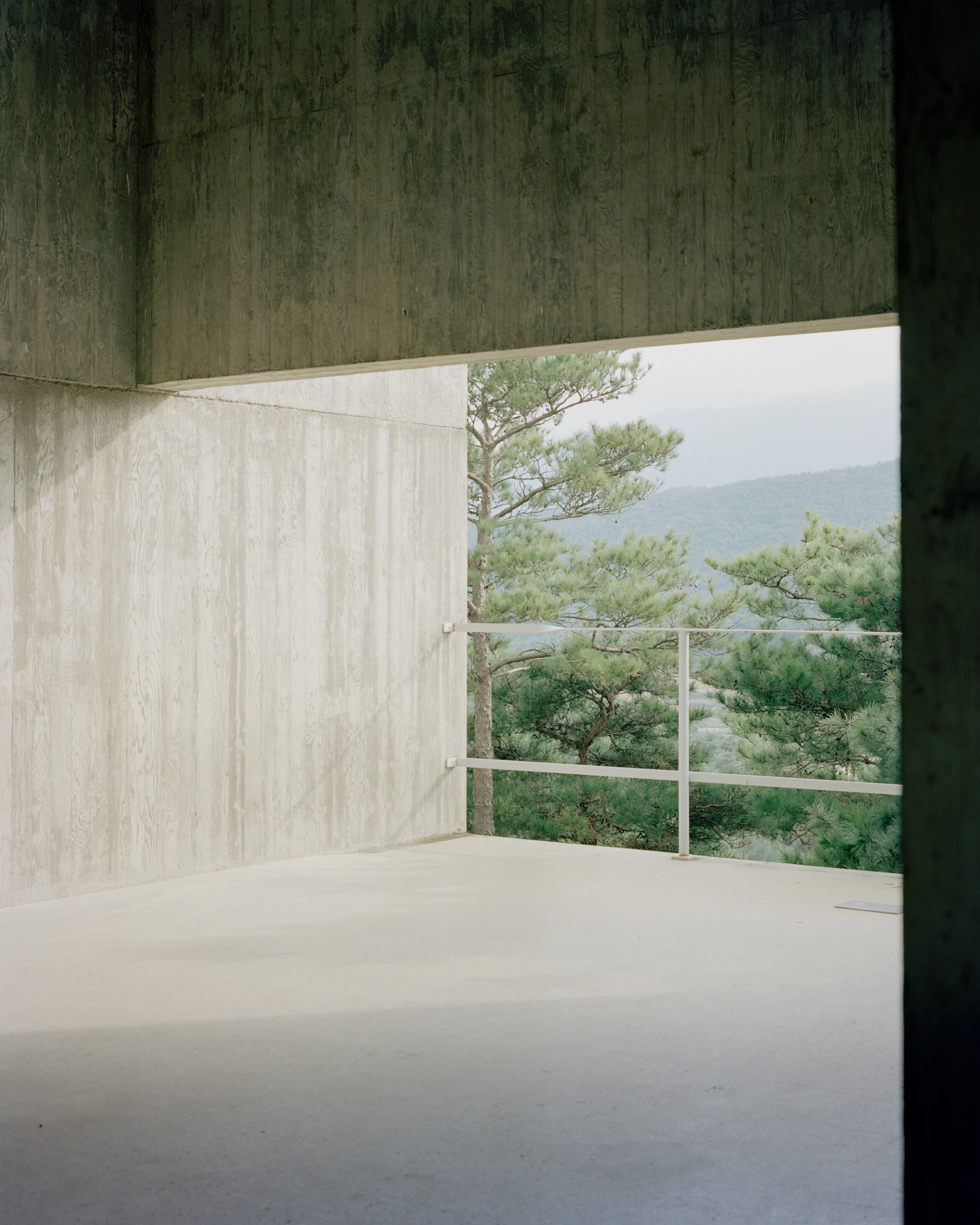 Sayuwon arboretum architecture by Álvaro Siza photographed by Danny Kai, South Korea Guide