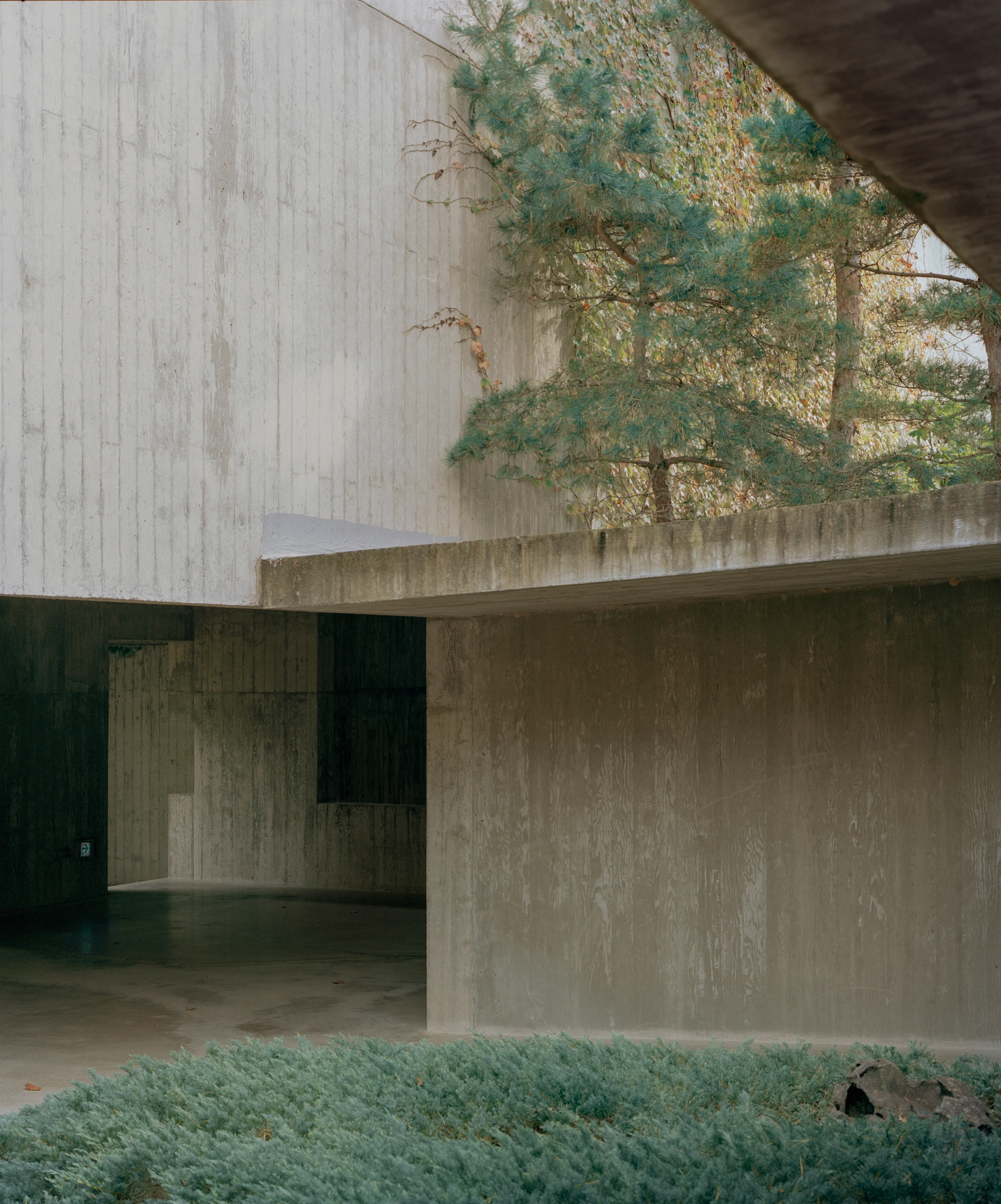 Sayuwon arboretum architecture by Álvaro Siza photographed by Danny Kai, South Korea Guide