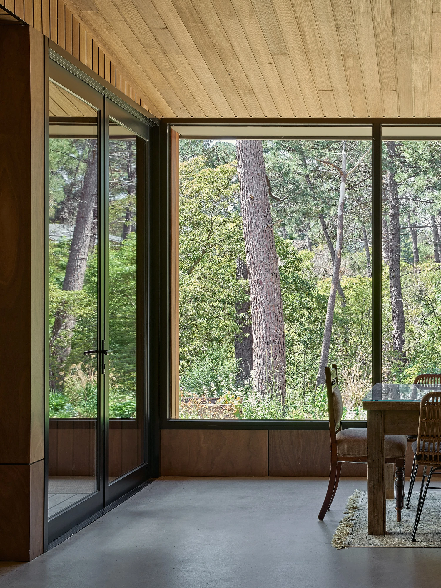 Homestead House by MRTN Architects — Interior threshold framing a dense eucalyptus forest through floor-to-ceiling glazing.