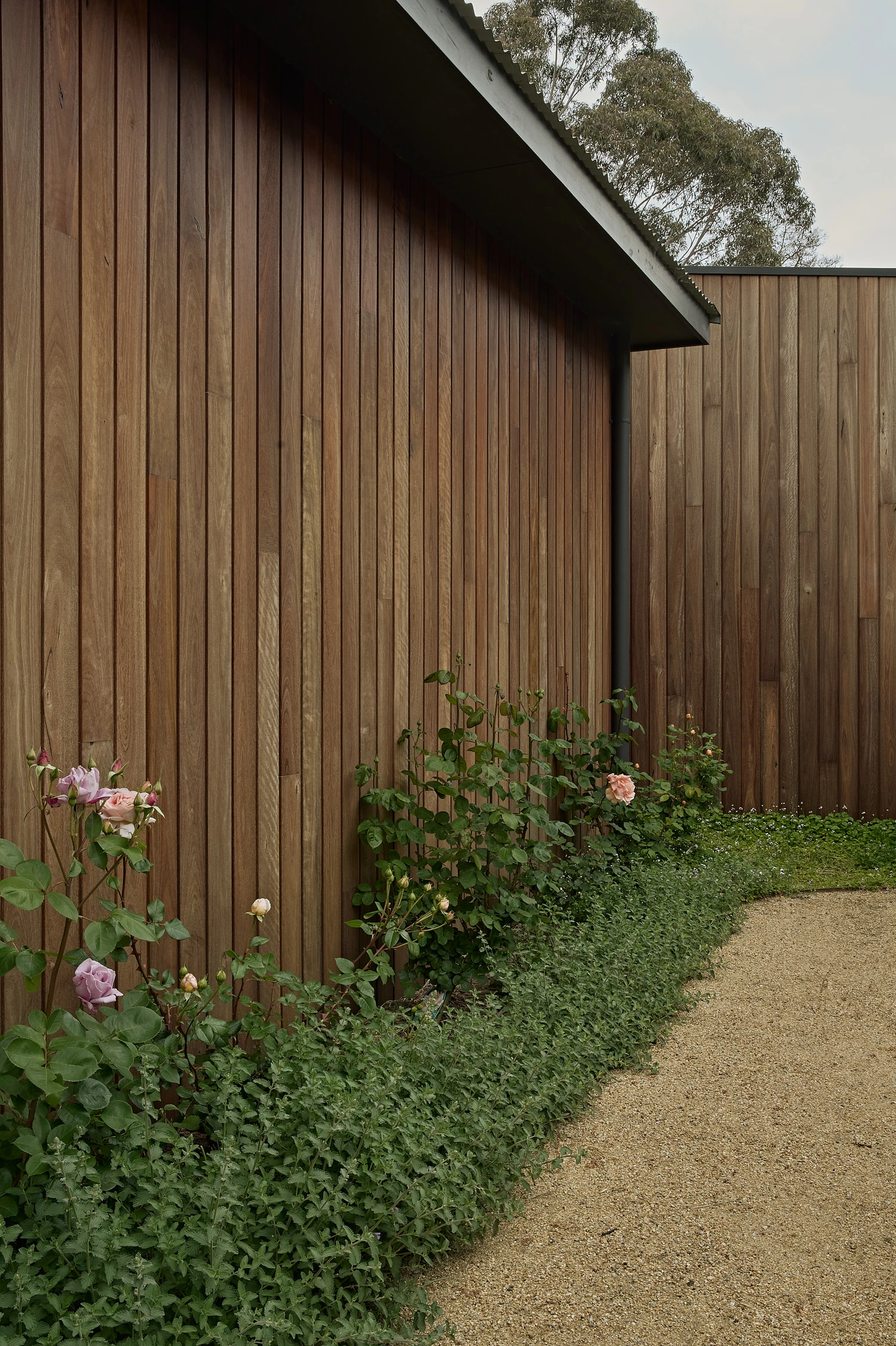 Homestead House by MRTN Architects — Timber-battened facade of Homestead House photographed from the gravel forecourt, showing vertical board screening in weathered timber tones.