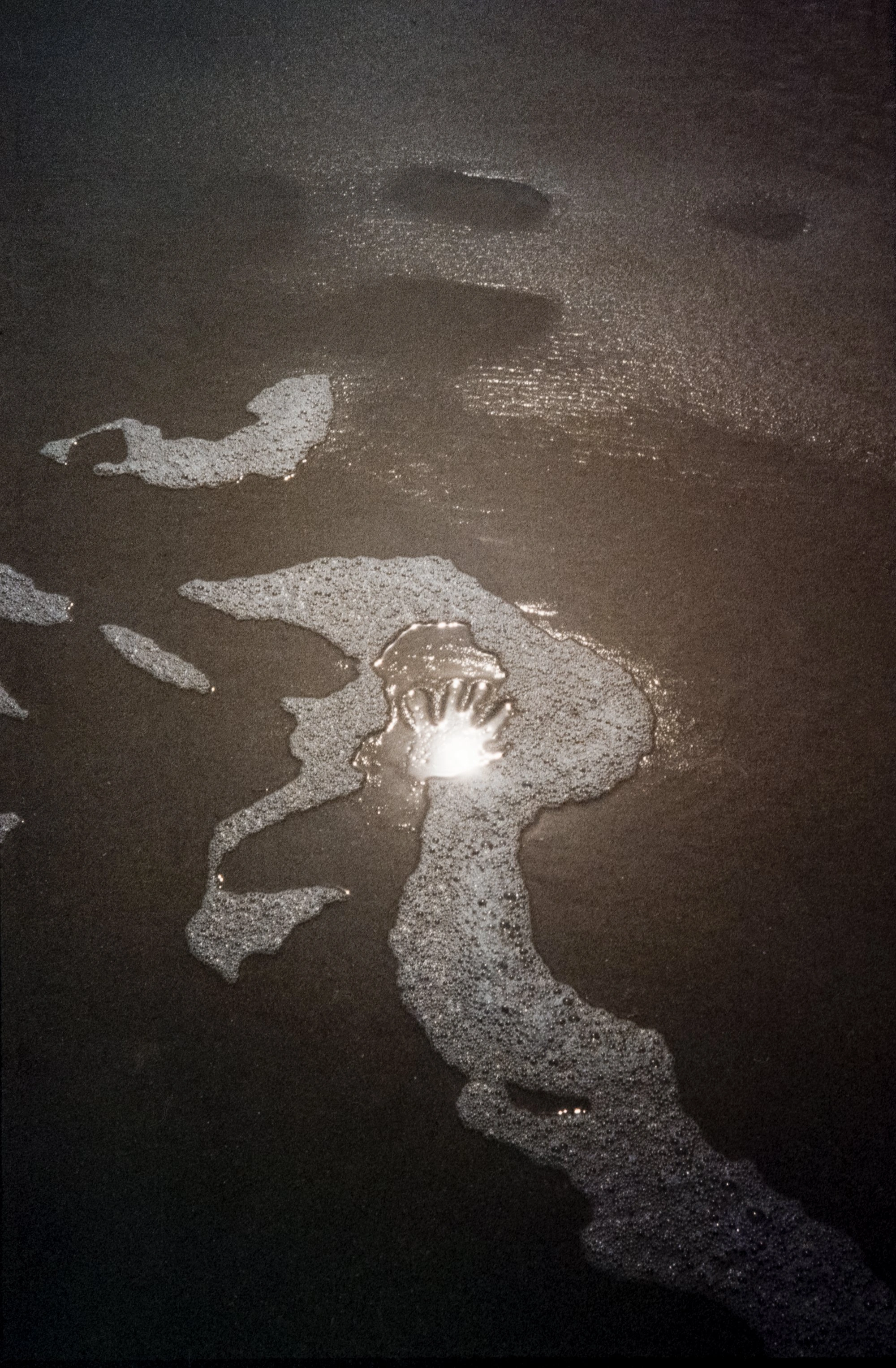We Keep Swimming, Until We All Reach Home by Jillian Guyette — Aerial photograph capturing translucent jellyfish suspended in dark water, illuminated by artificial light source.