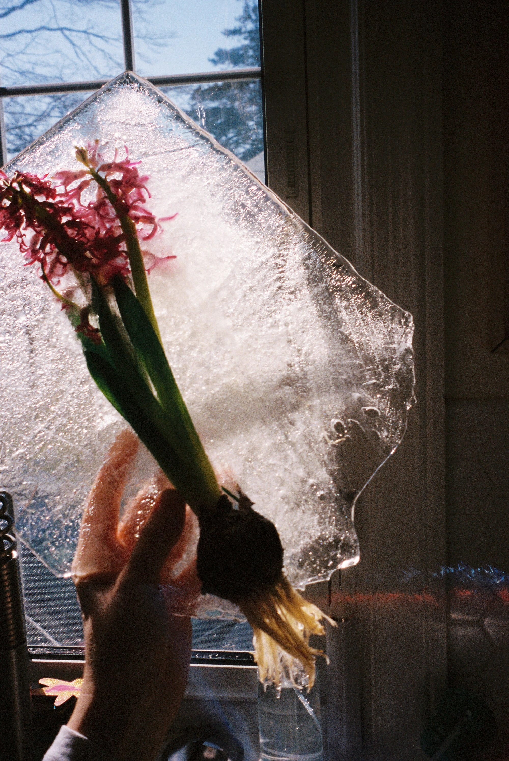 We Keep Swimming, Until We All Reach Home by Jillian Guyette — A hand holds a sheet of frost-covered glass before a window, its surface crystallized into geometric patterns of white ice.