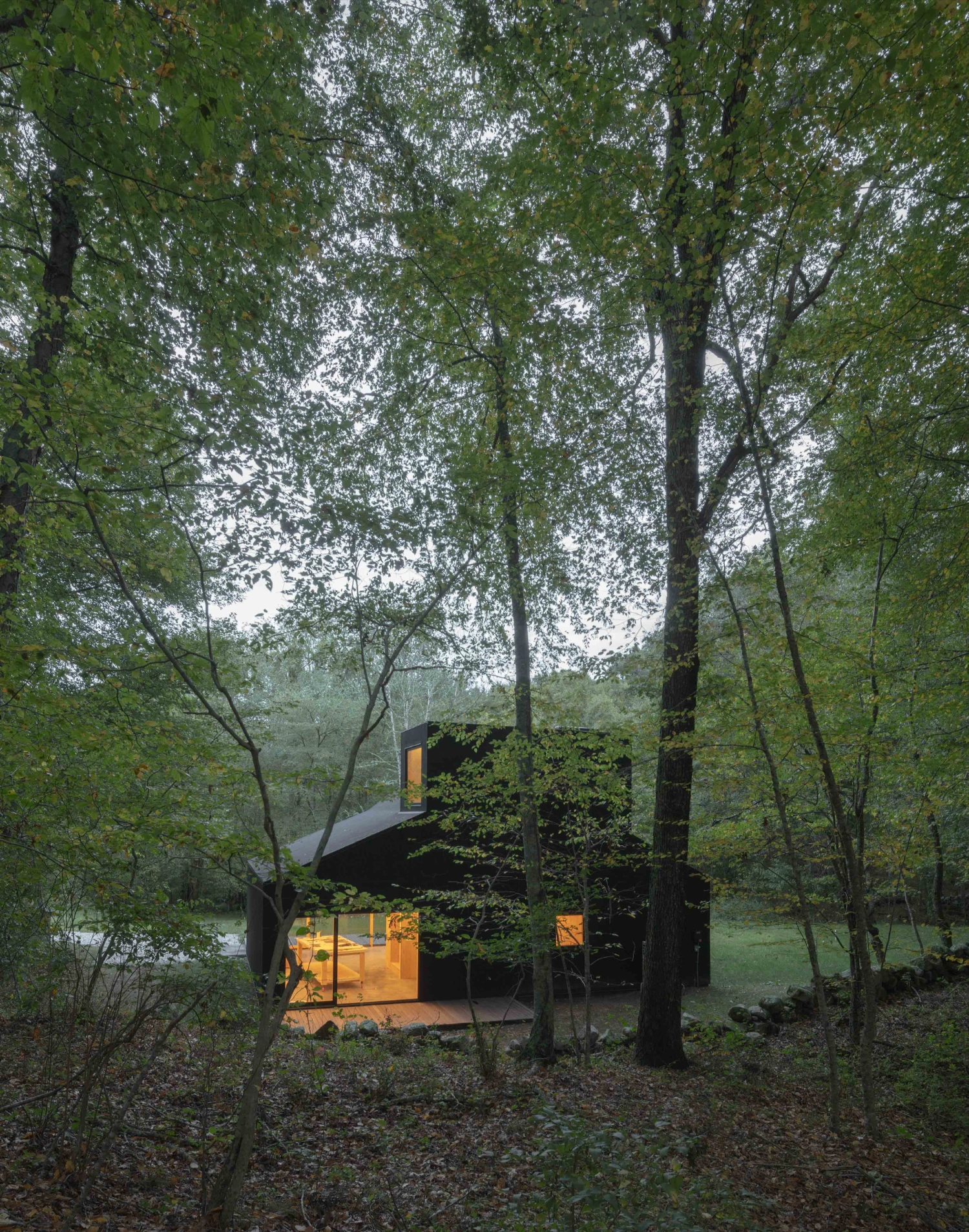 Studio Barn by Worrell Yeung — A modernist timber-clad studio emerges from a densely forested landscape in Rhode Island, surrounded by deciduous trees in full leaf.