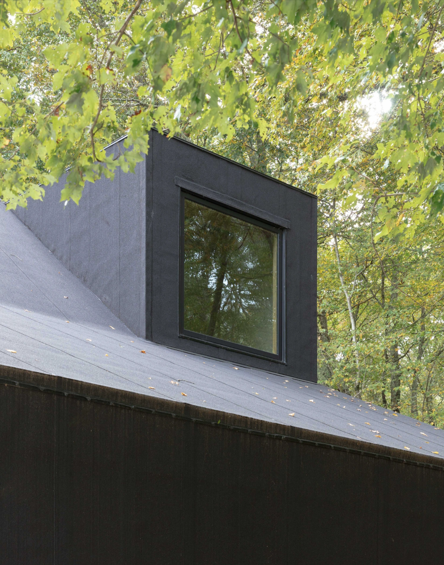 Studio Barn by Worrell Yeung — A pitched-roof structure clad in dark materials features a large rectangular window set into a black frame, positioned to capture views of surrounding...