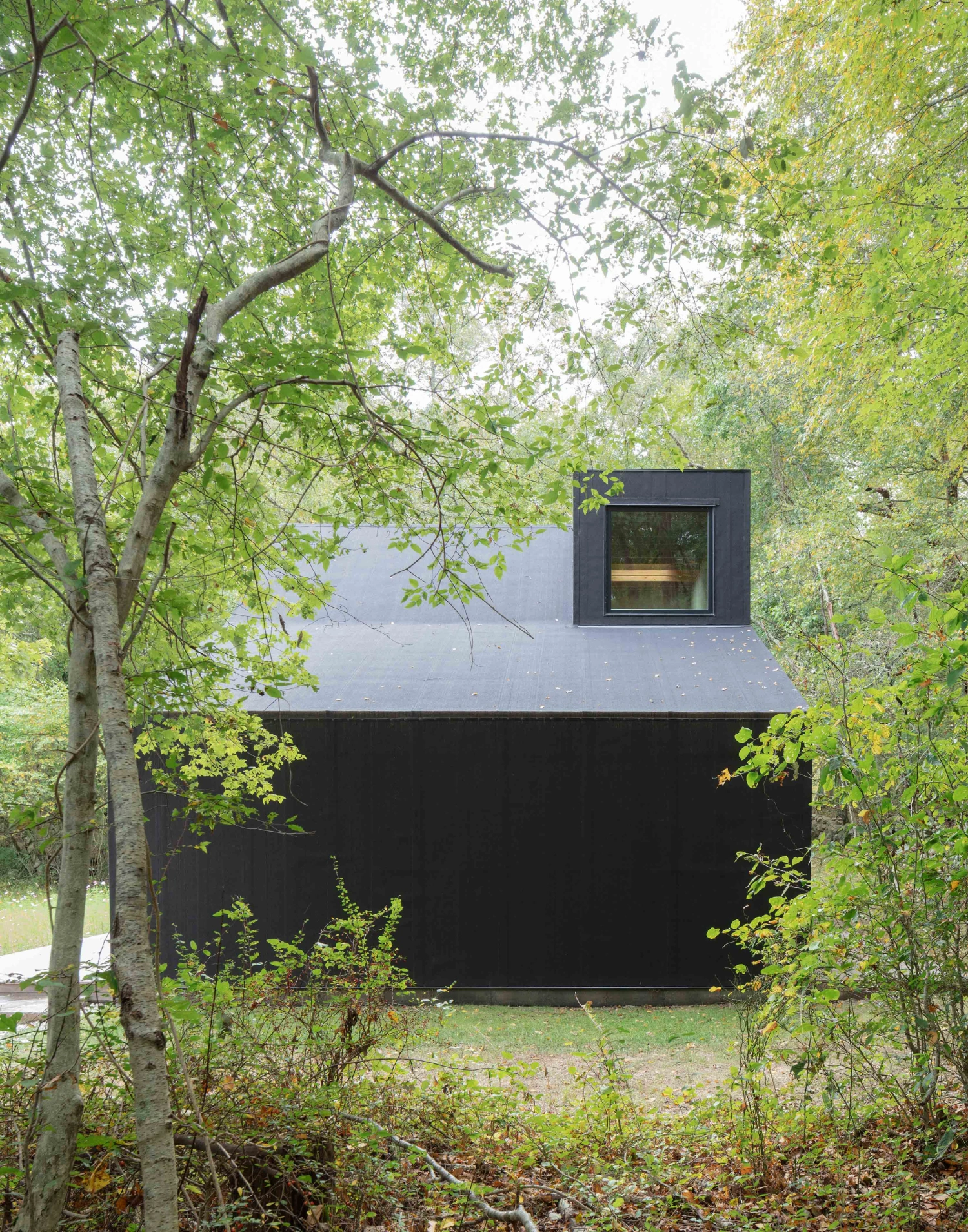 Studio Barn by Worrell Yeung — A modernist structure emerges from dense woodland, its black-painted facade anchoring a composition dominated by deciduous trees in full leaf.
