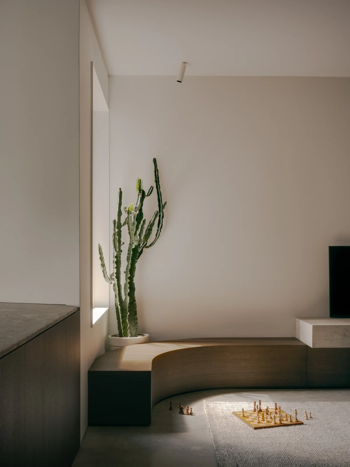 Rathnelly House by Studio VAARO reimagines an Edwardian Toronto home as fluid, tactile, and expansive