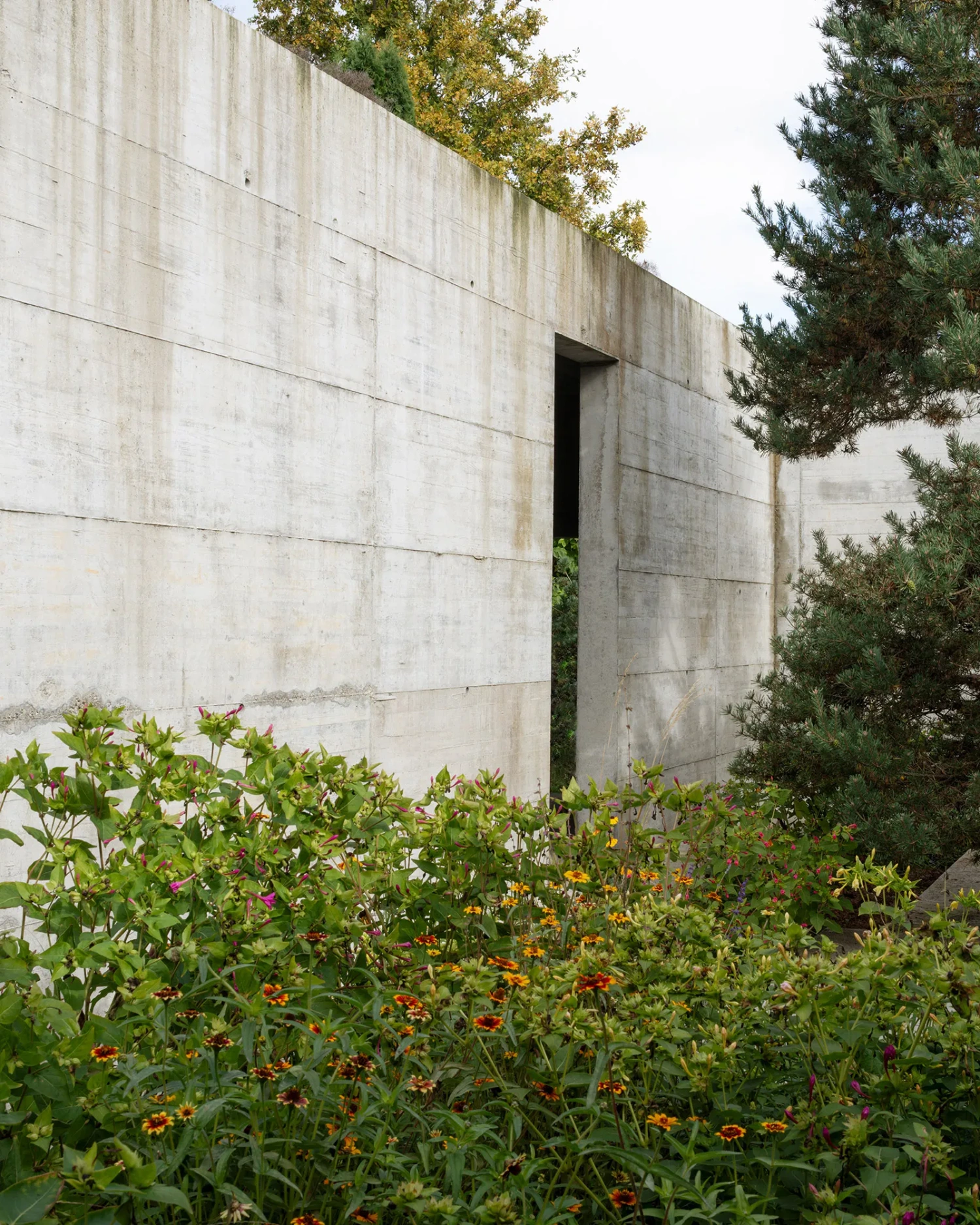 House with two courtyards by BÜRO MÜHLBAUER, concrete architecture, minimalist villa, german architecure, wood