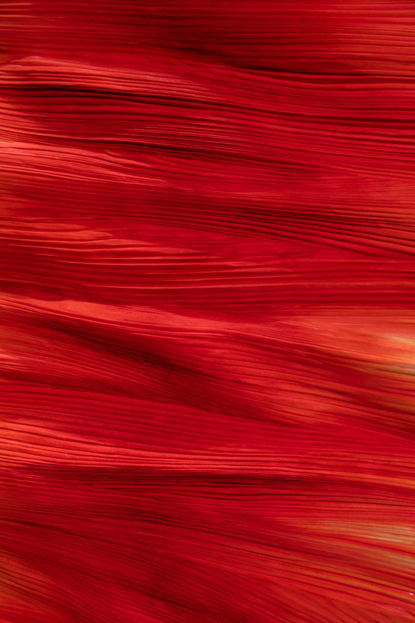 The Wood Pleats Collection reveals wood object and soft vases through Didi Ng Wing Yin’s pleated, textile-like forms
