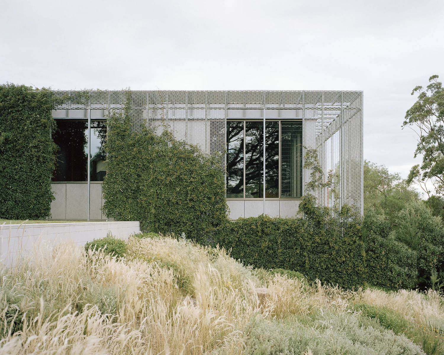 Hedge and Arbour House by Studio Bright, residential architecture, Australian house, minimalism