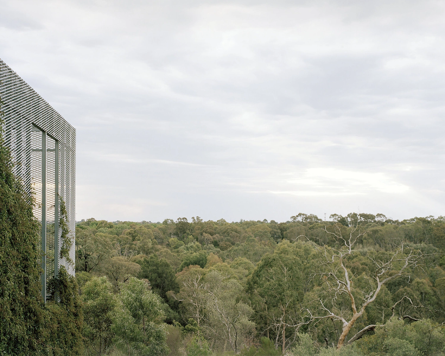 Hedge and Arbour House by Studio Bright, residential architecture, Australian house, minimalism