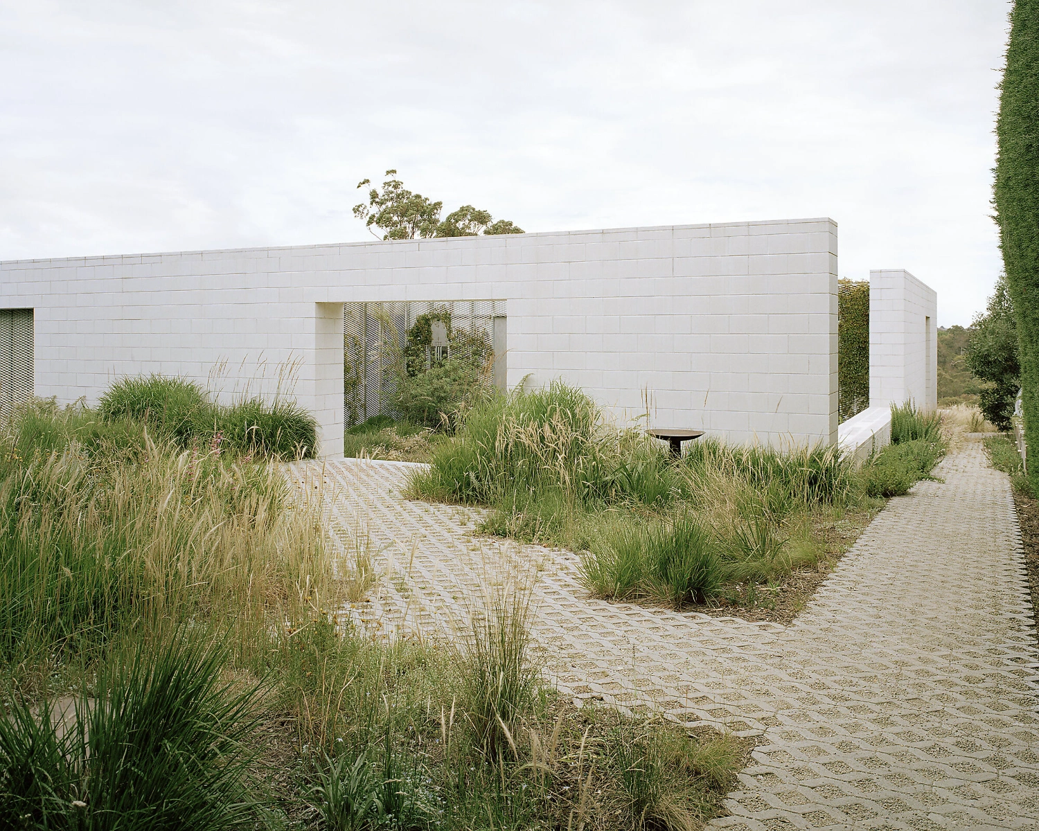 Hedge and Arbour House by Studio Bright, residential architecture, Australian house, minimalism