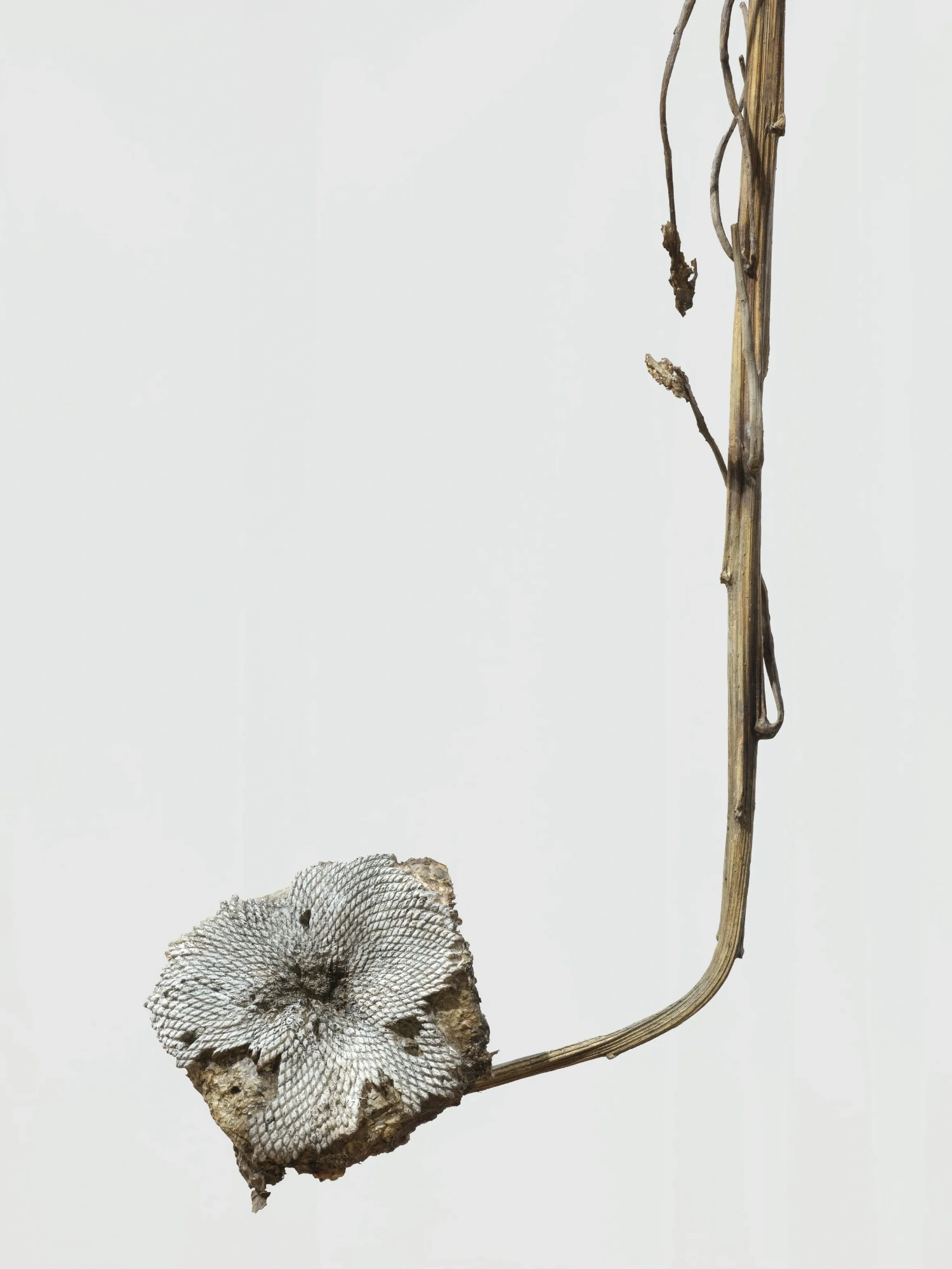 Anselm Kiefer at White Cube Mason’s Yard, Anselm Kiefer: Landscapes of Myth, Memory, and Melancholy