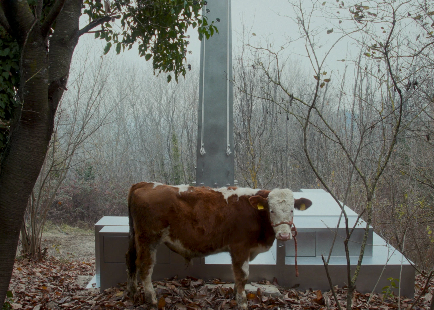 The Missing Room by Carroccera Collective