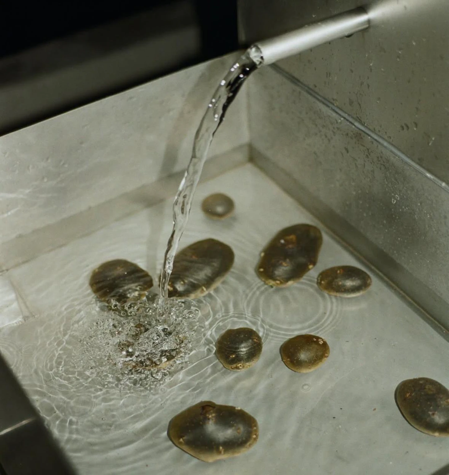 The Missing Room by Carroccera Collective