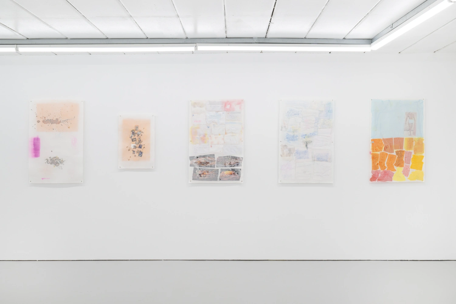 The Garden by Harley Weir at Hannah Barry Gallery, photography, art exhibition, london guide