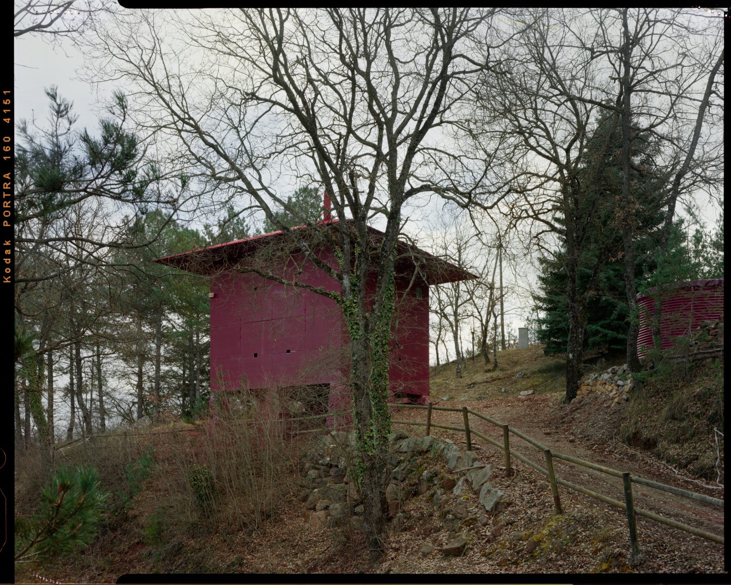 TEST perches prefab wooden house atop shotcrete pillars in barcelona woodlands spain