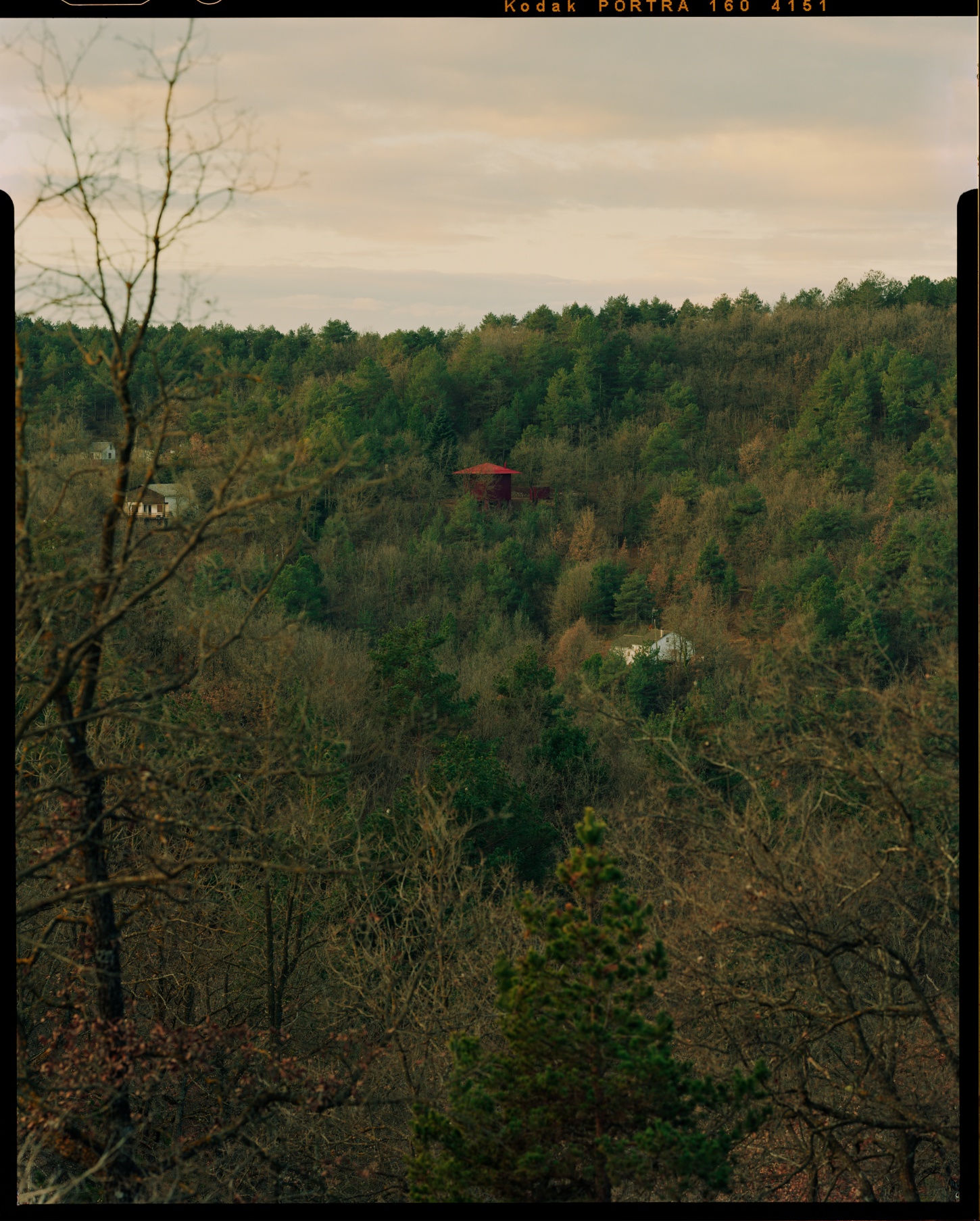 TEST perches prefab wooden house atop shotcrete pillars in barcelona woodlands spain