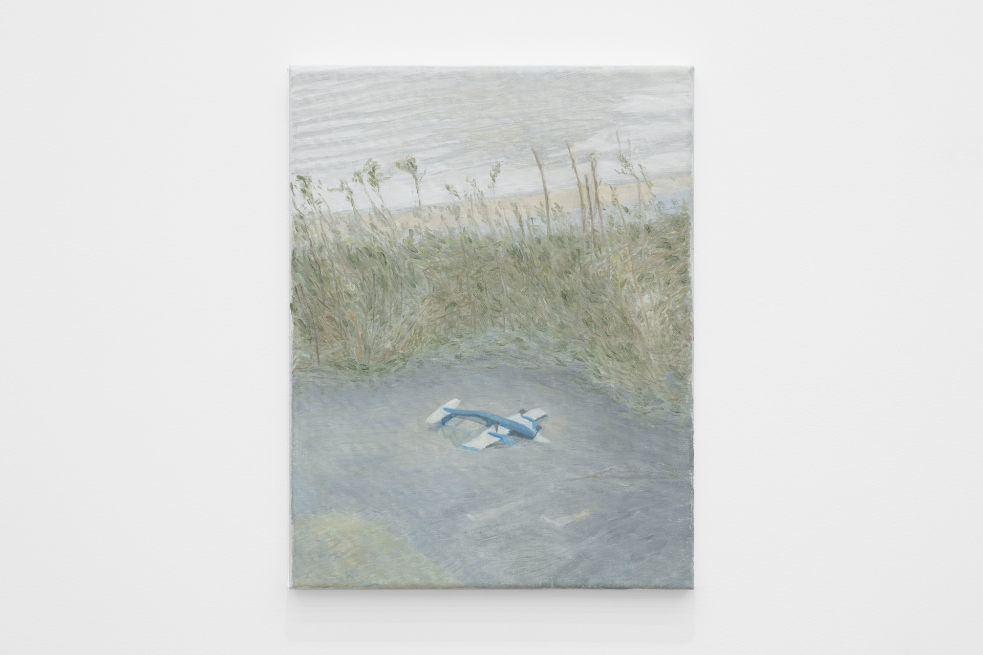 Mouthful of Dirty Copper by Rexy Tseng at Magenta Plains — A single canvas dominates the composition, presenting an aerial perspective of marshland or wetland terrain.
