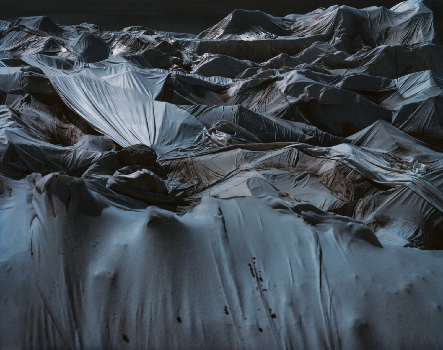'The Mountains Between Us' by Lena C. Emery Climax Glaciers melting Climate change Swiss Alps