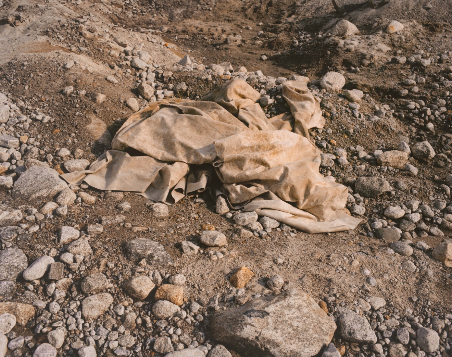 'The Mountains Between Us' by Lena C. Emery Climax Glaciers melting Climate change Swiss Alps