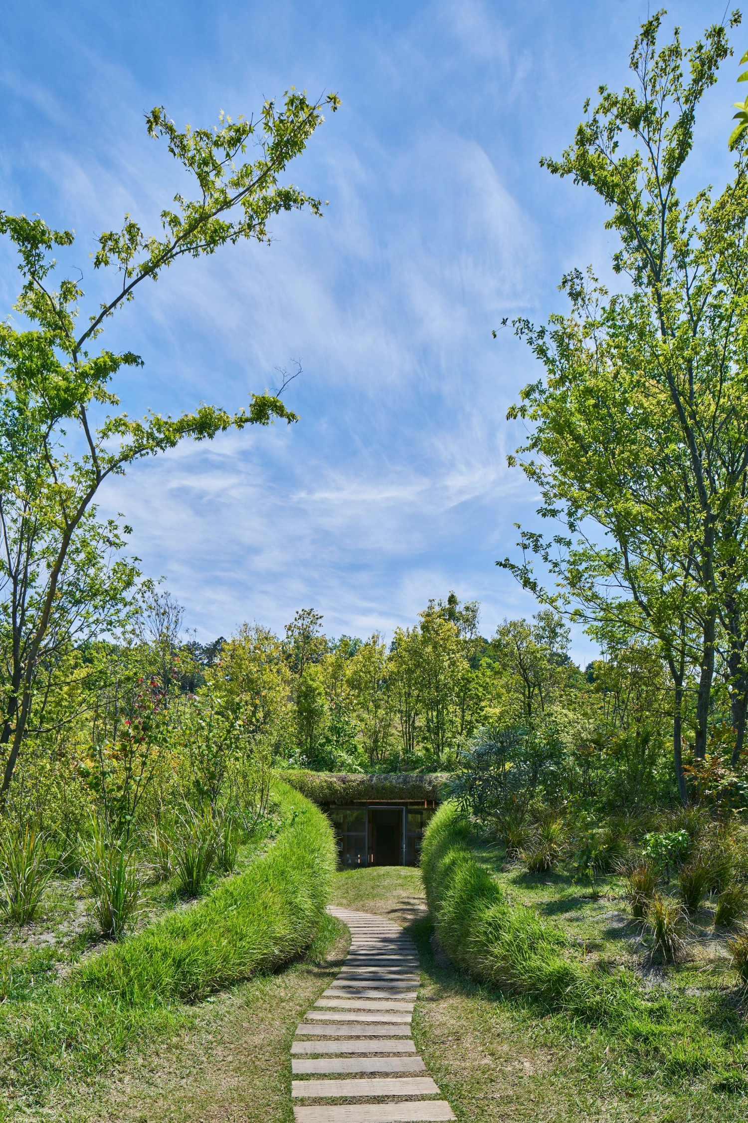 Library in the Earth by Hiroshi Nakamura & NAP — A stepping-stone pathway cuts through mounded ornamental grasses in symmetrical flanking formations, drawing perspective toward a recessed dark portal set...