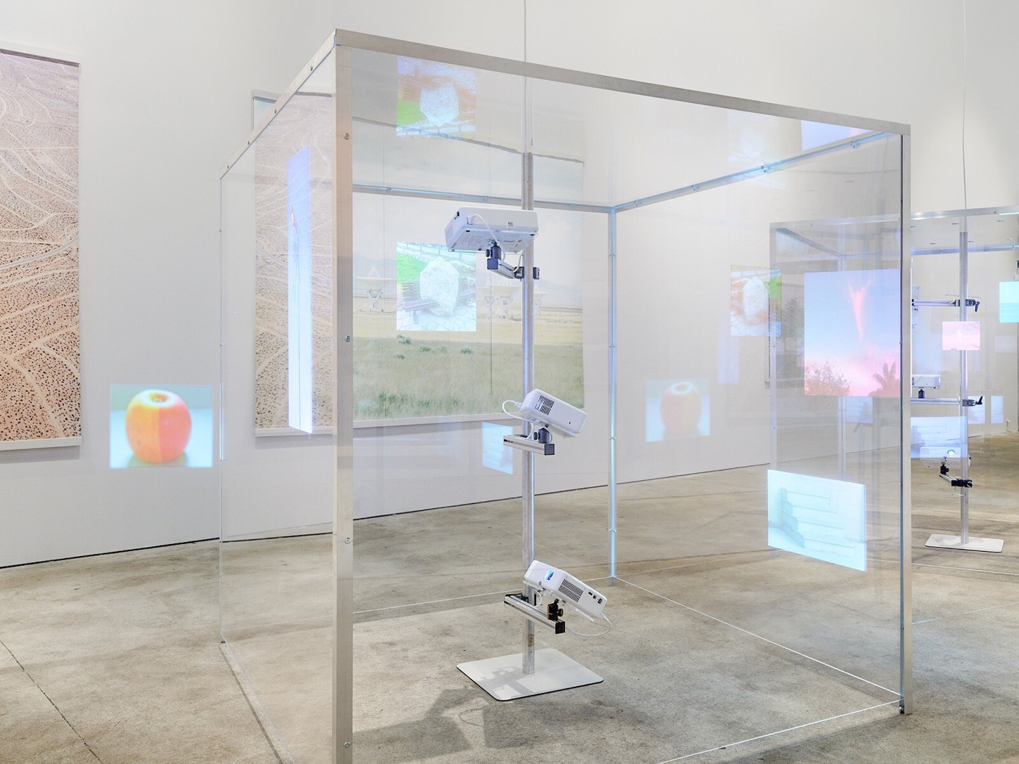 ‘American Glitch’ by Andrea Orejarena and Caleb Stein, art, photography