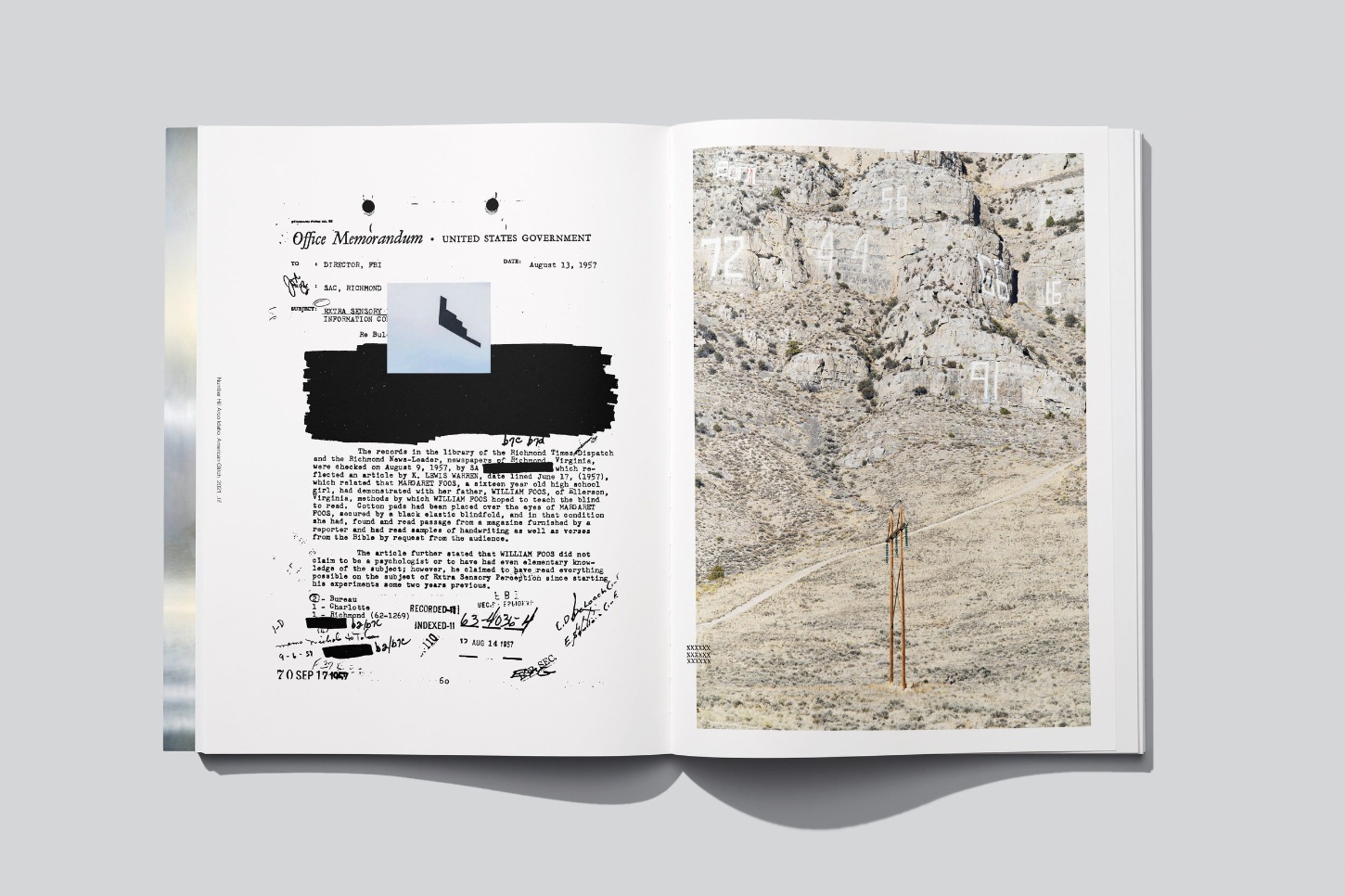 ‘American Glitch’ by Andrea Orejarena and Caleb Stein, art, photography