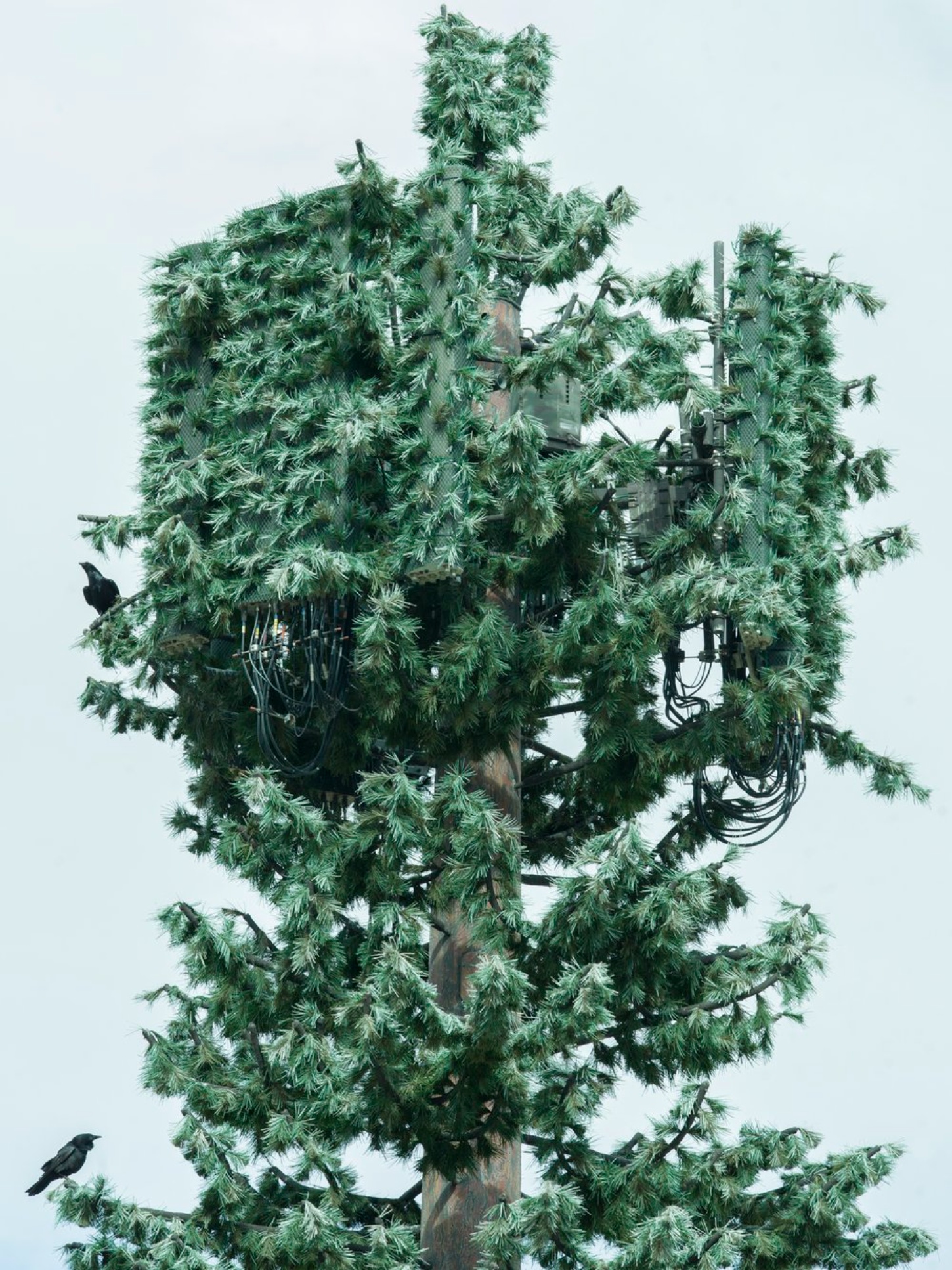 ‘American Glitch’ by Andrea Orejarena and Caleb Stein, art, photography