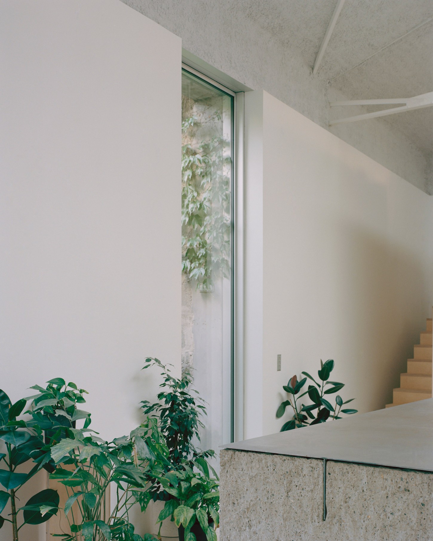 L’Atelier by A6A, atelier, studio, office, interiors, architecture