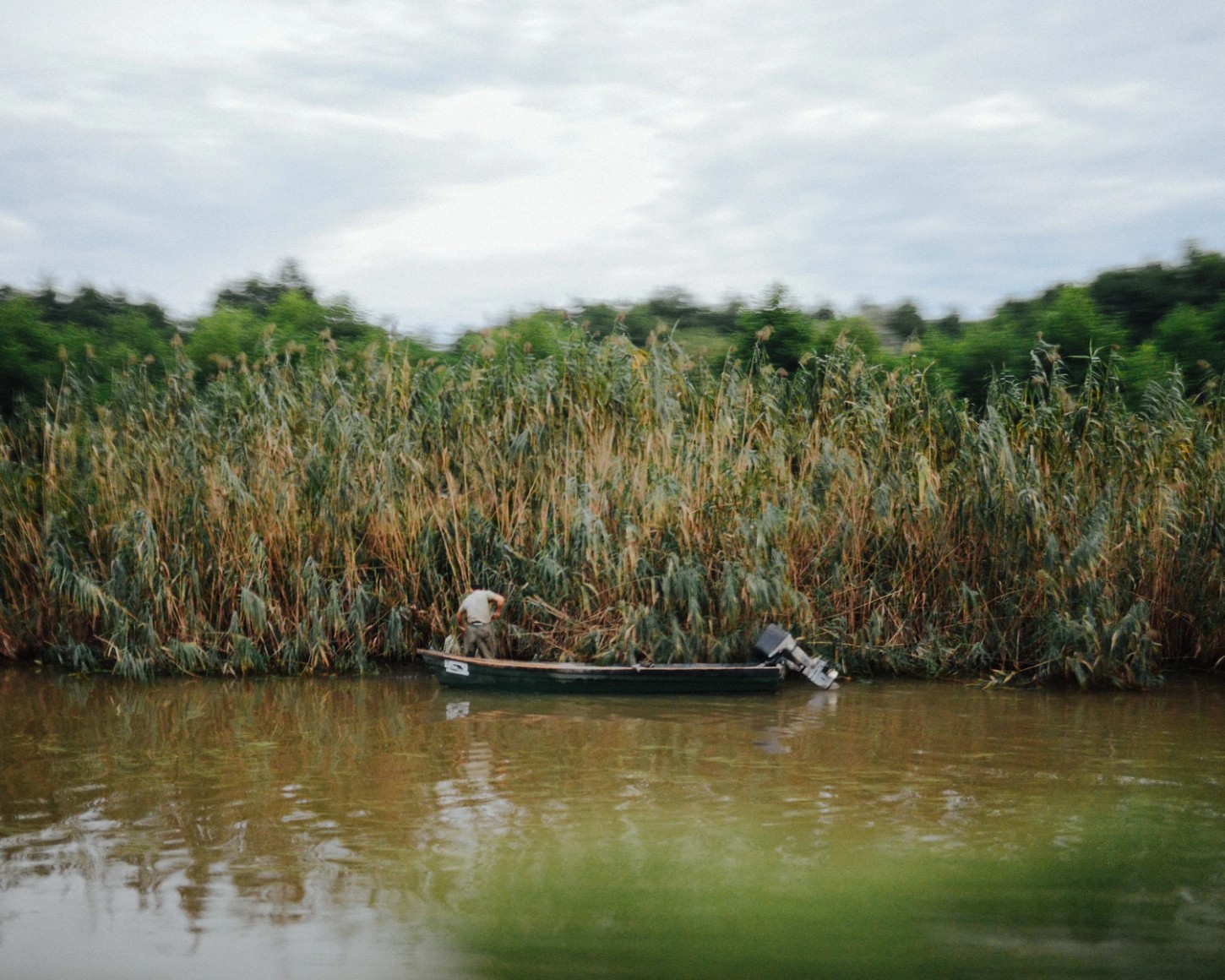 'Caspian' by Khashayar Javanmardi