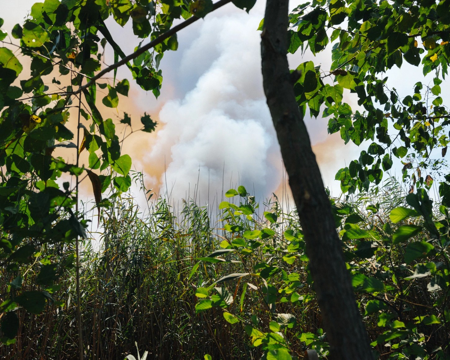 'Caspian' by Khashayar Javanmardi