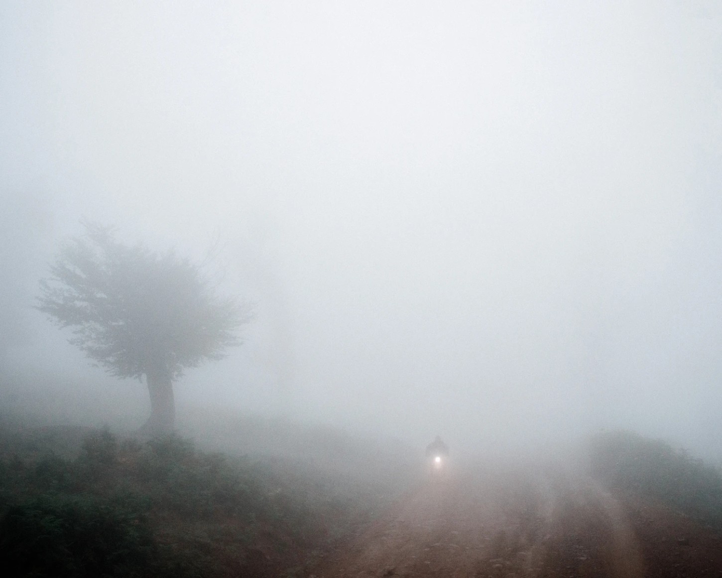 'Caspian' by Khashayar Javanmardi