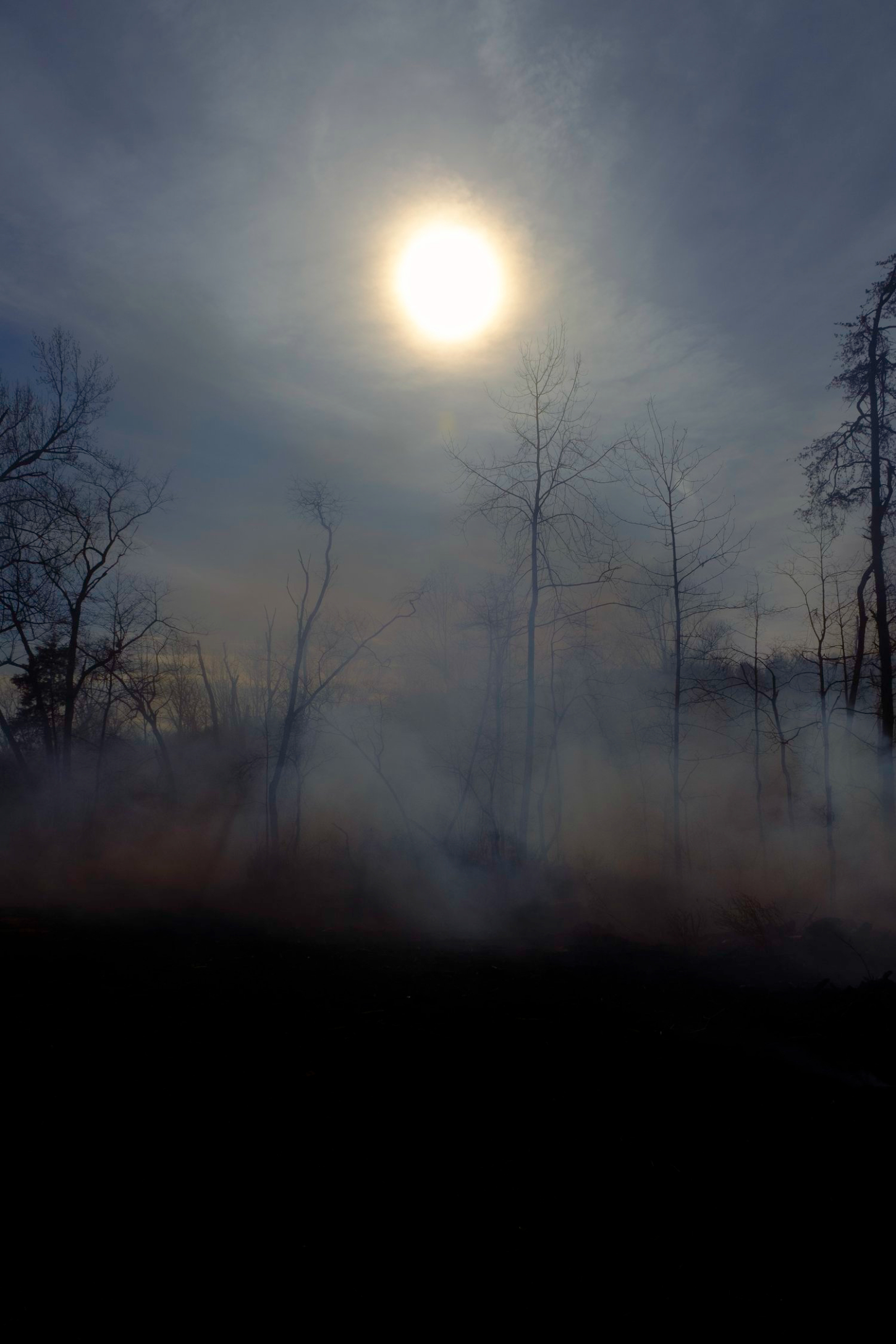 Selected works by Grade Solomon, photography, landscape, colors