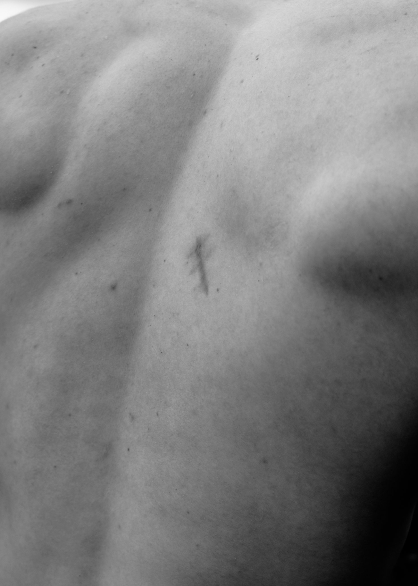 Selected works by Grade Solomon, photography, landscape, colors