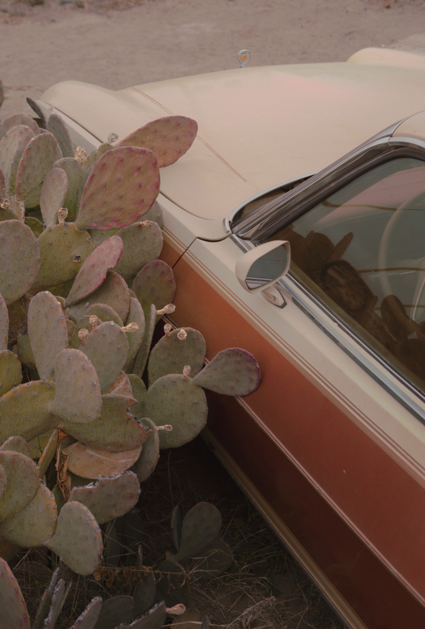 Selected works by Grade Solomon, photography, landscape, colors