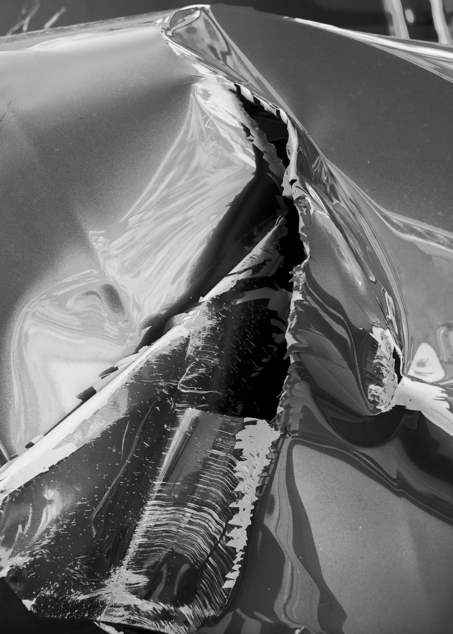 Selected works by Grade Solomon, photography, landscape, colors