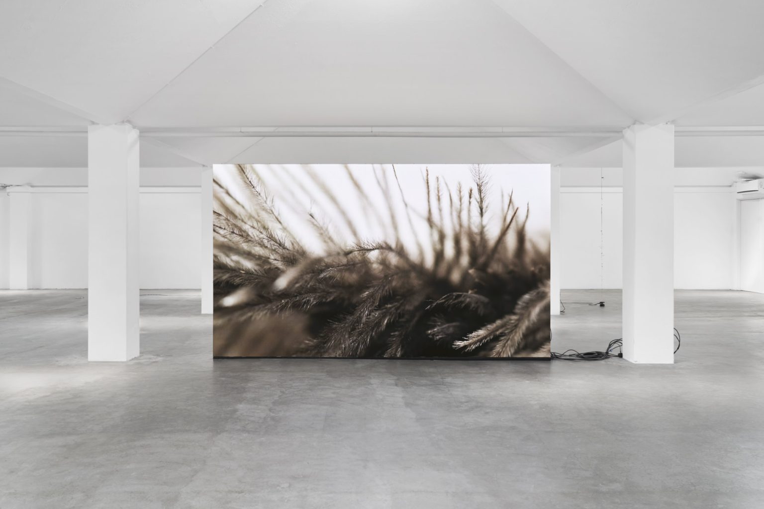 Future Mechanism Rag Plus Two Grams by Nina Canell at Simian — A large-scale photographic mural dominates the gallery interior, depicting a close-up of a truck bed's ribbed aluminum floor pan and interior surfaces.