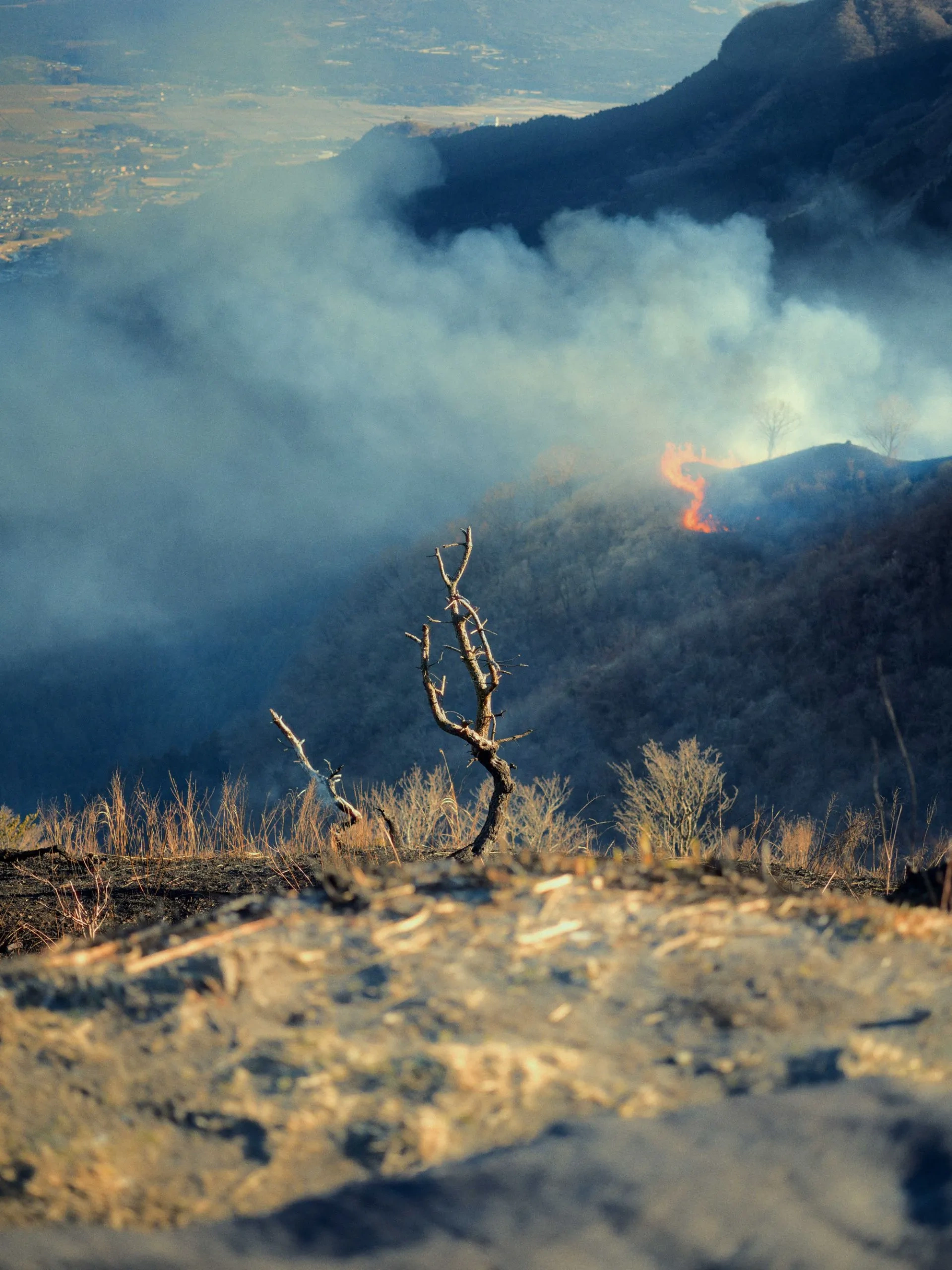 Fire and Ice by Ulysses Aoki, photography, documentary, landscape, climatechange, nature