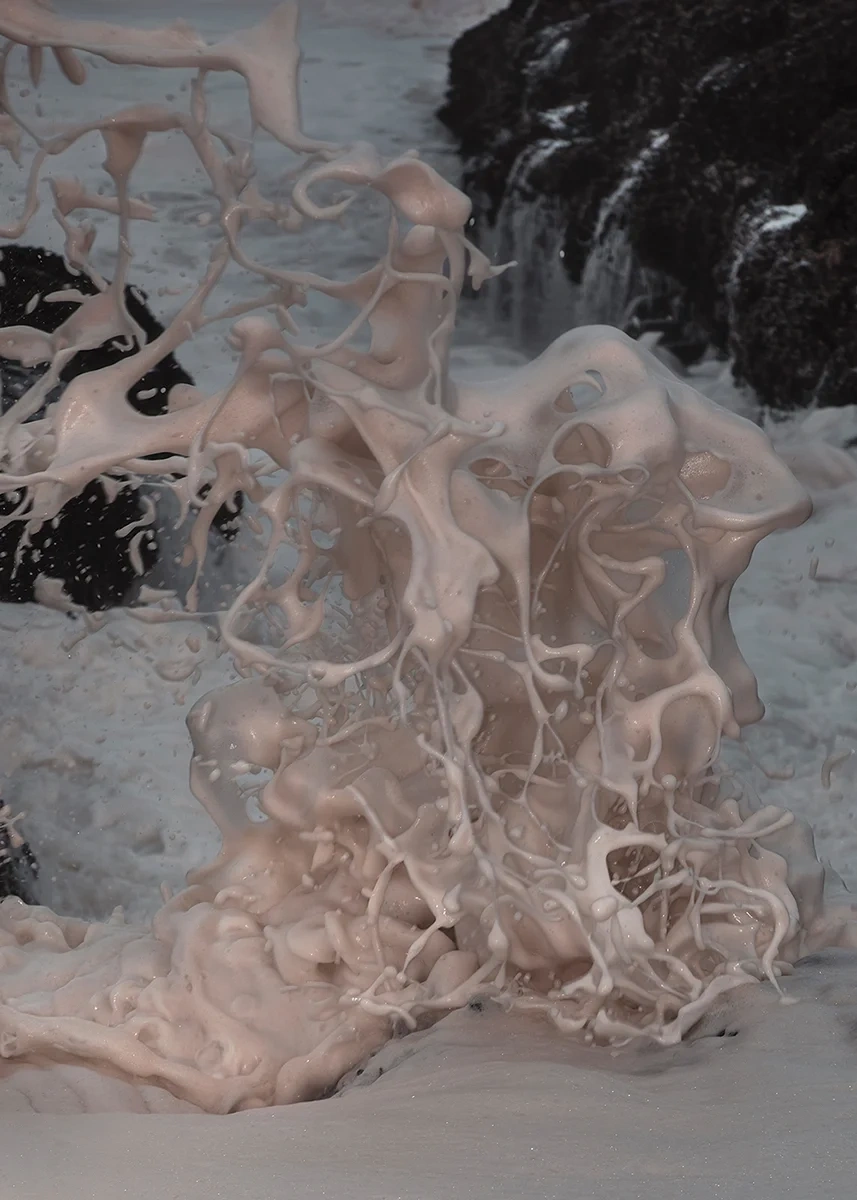 Strange Nature by Delaney Allen, photography, landscape, nature, surrealism