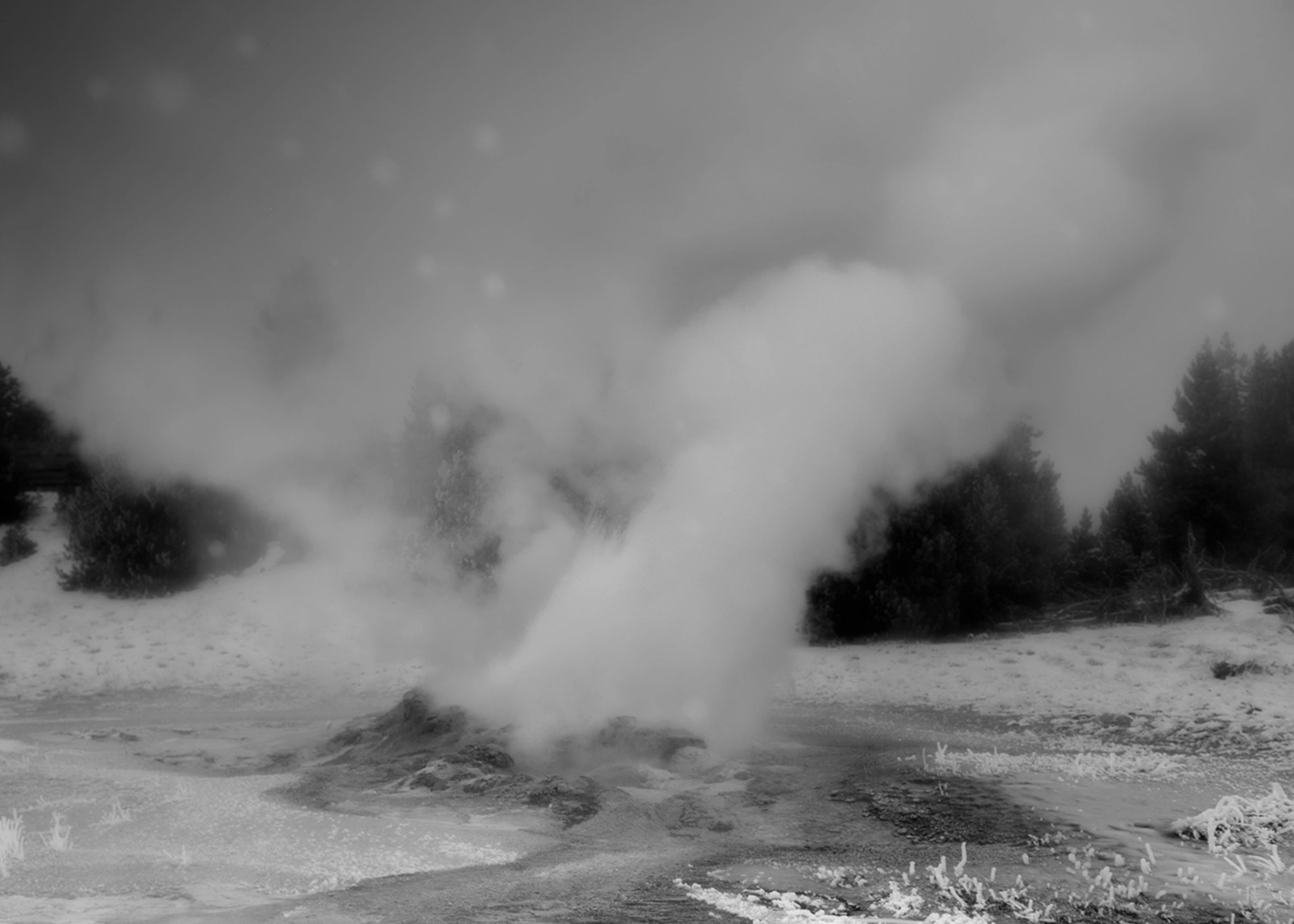 Strange Nature by Delaney Allen, photography, landscape, nature, surrealism