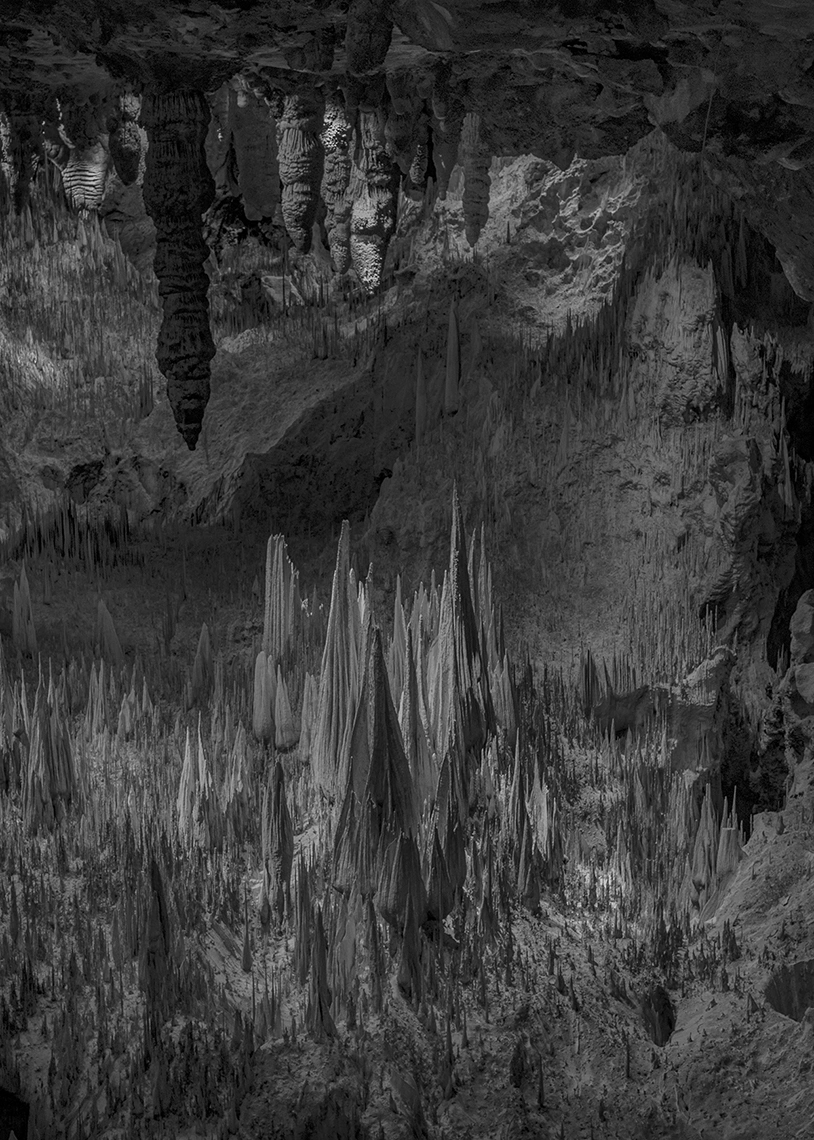 Strange Nature by Delaney Allen, photography, landscape, nature, surrealism