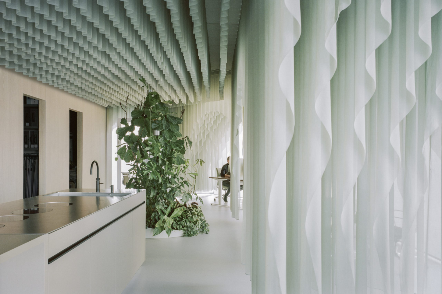 Siersema by Beyond Space, office, interiors, conceptual