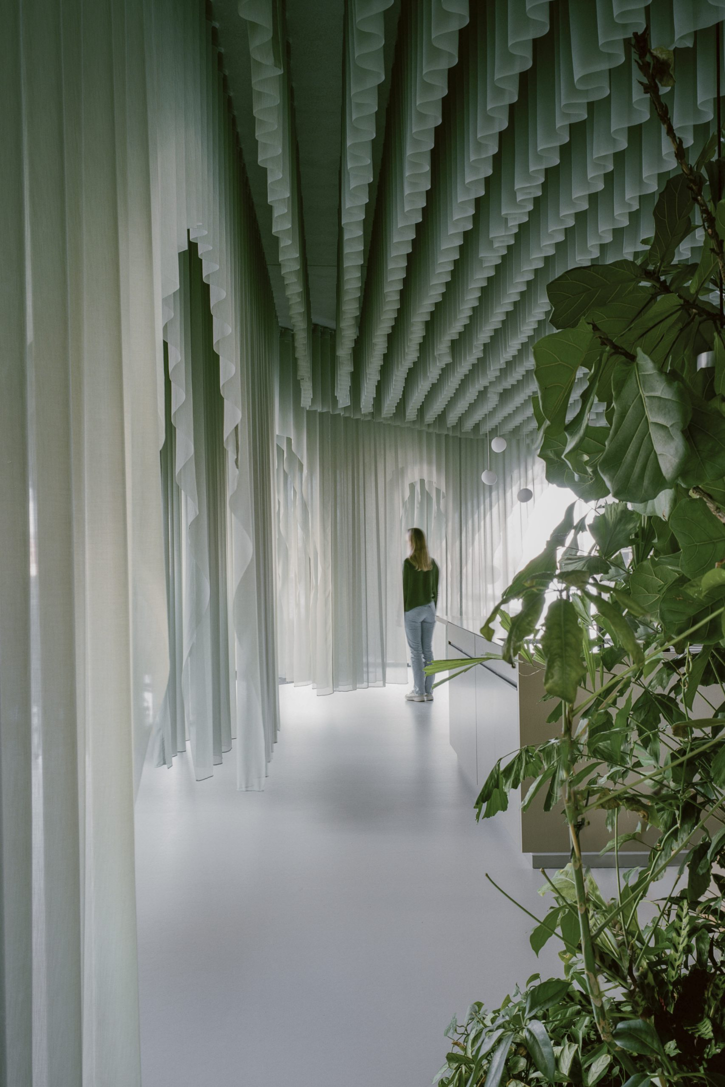 Siersema by Beyond Space, office, interiors, conceptual