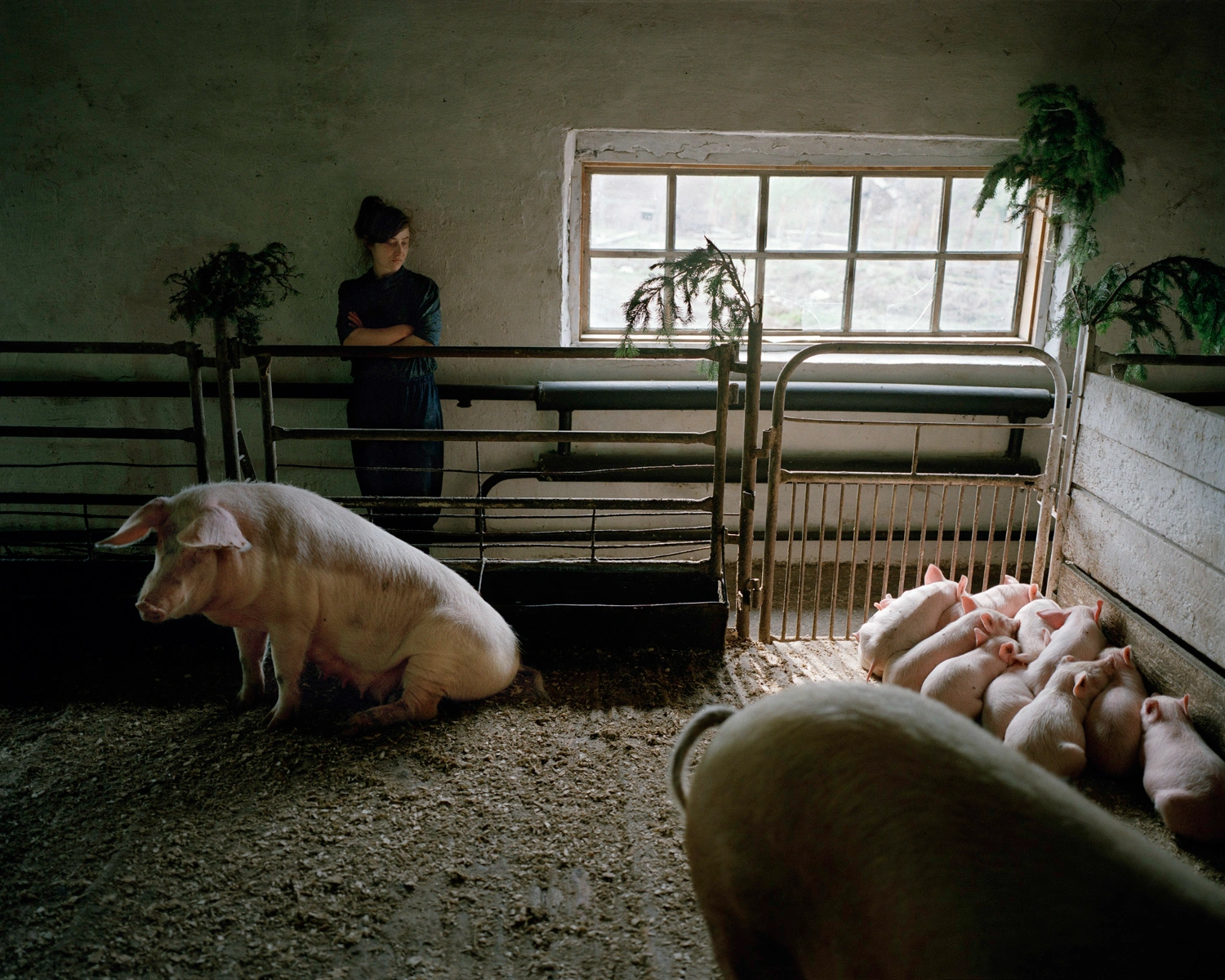 Zona by Carl De Keyzer, documentary, photography, russia, people