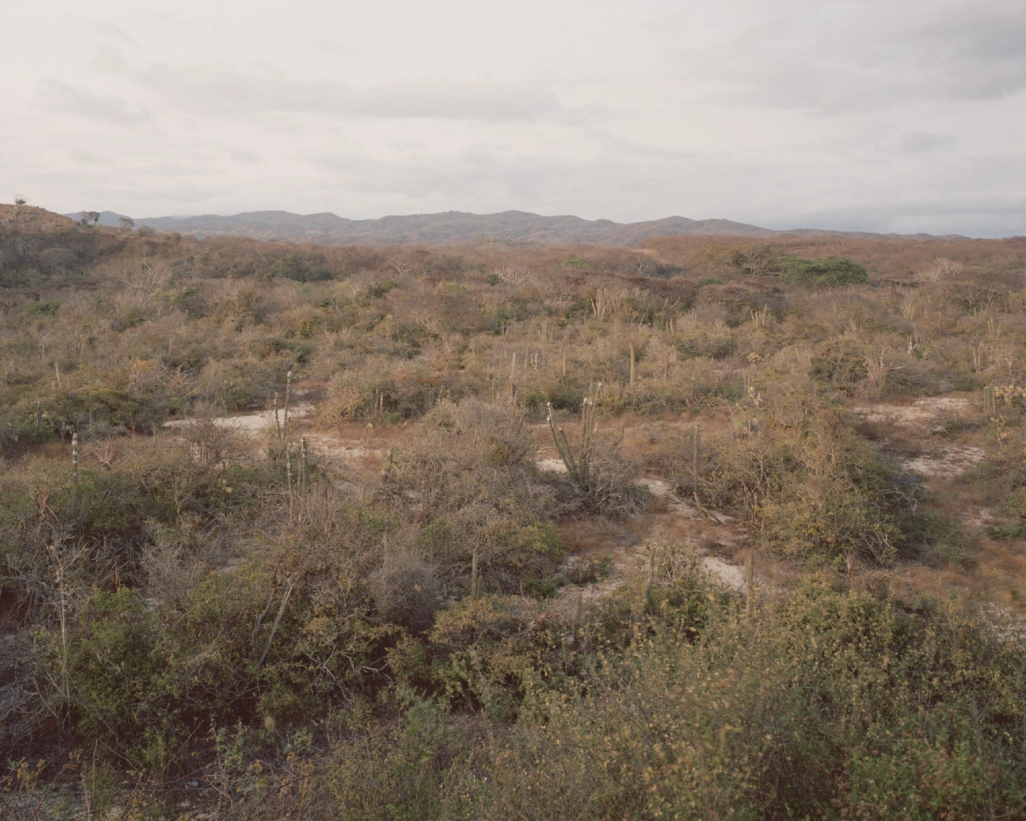 Casa Monte by Carlos Matos, villa, architecture, minimalism, interiors