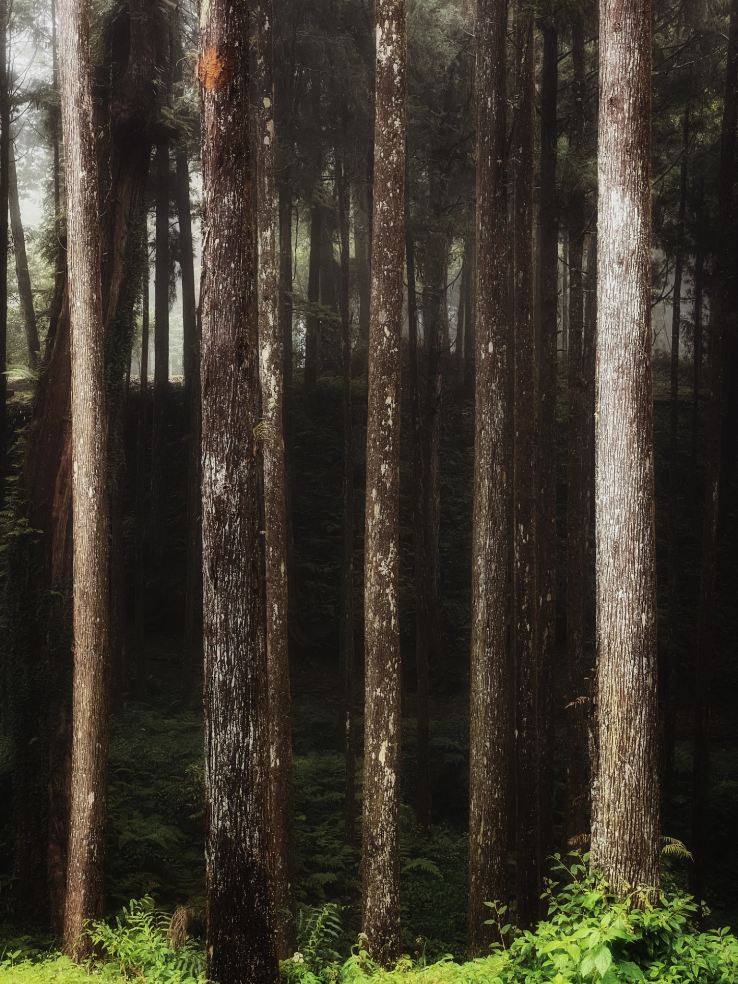 ILandscape by Chang Yu Hsuan, personal, photography, documentary